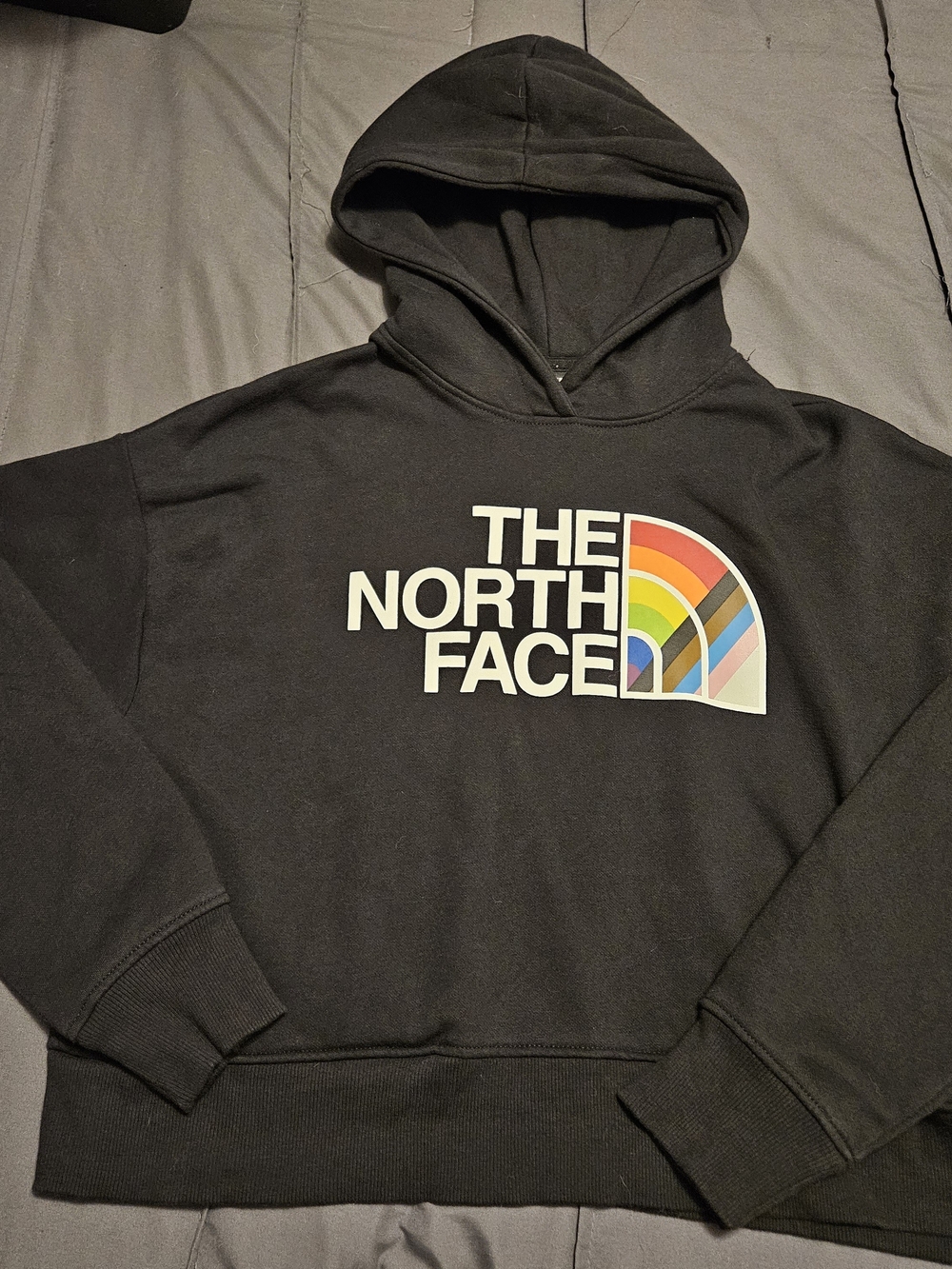 The North Face Hoodie Womens Medium Black Rainbow Logo Cropped Sweatshirt
